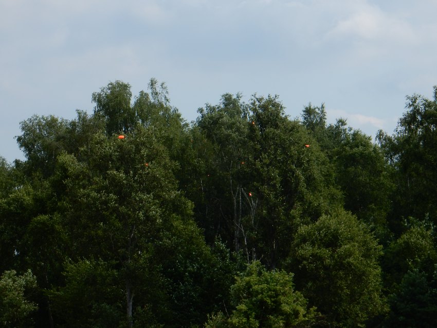 dscn6554.jpg