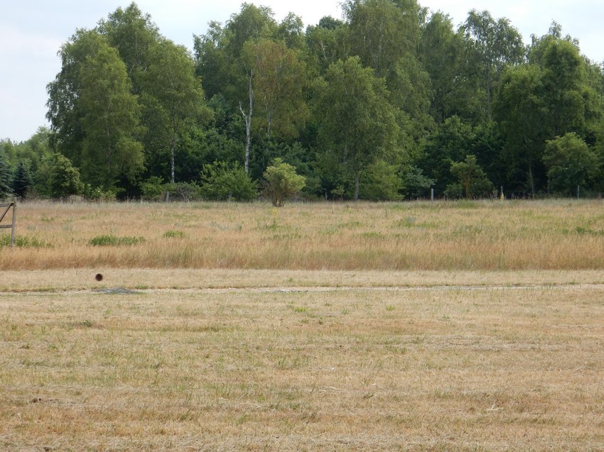 dscn6594.jpg
