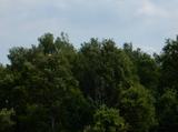 dscn6554.jpg