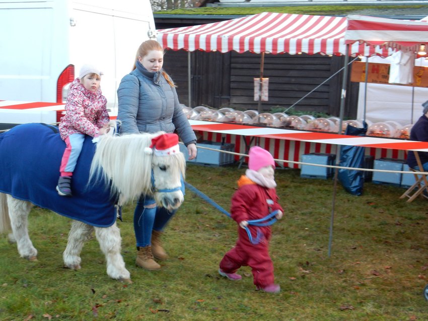 dscn4937.jpg