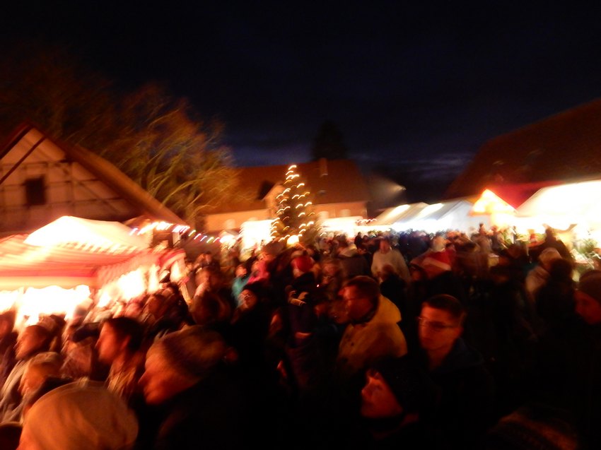 dscn5050.jpg