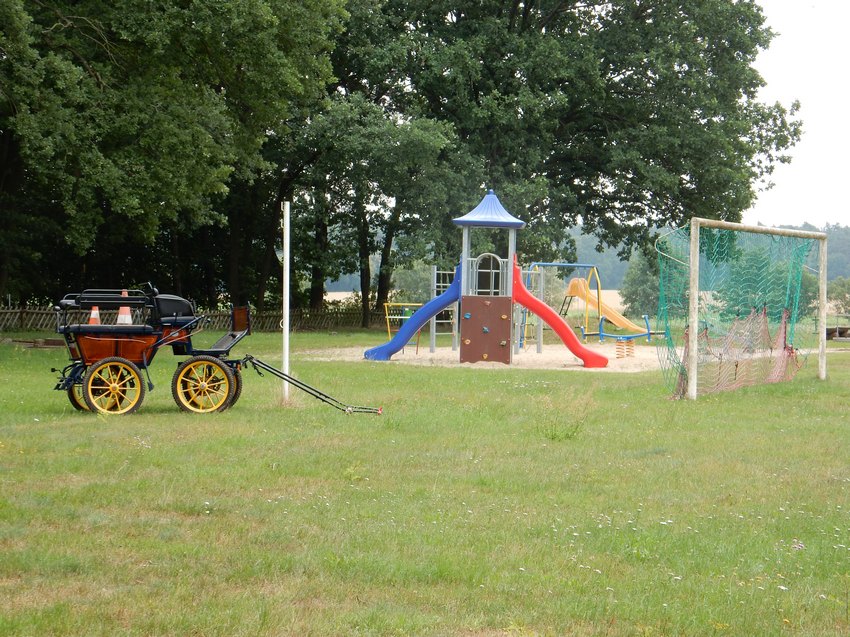 dscn3785.jpg