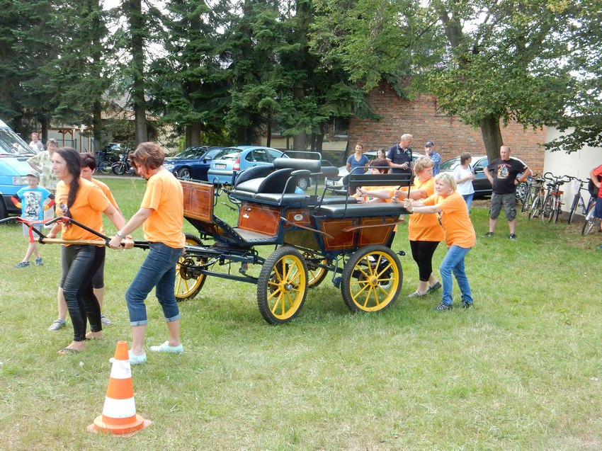dscn4195.jpg