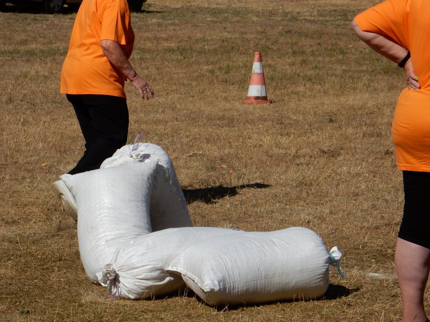 dscn7949.jpg