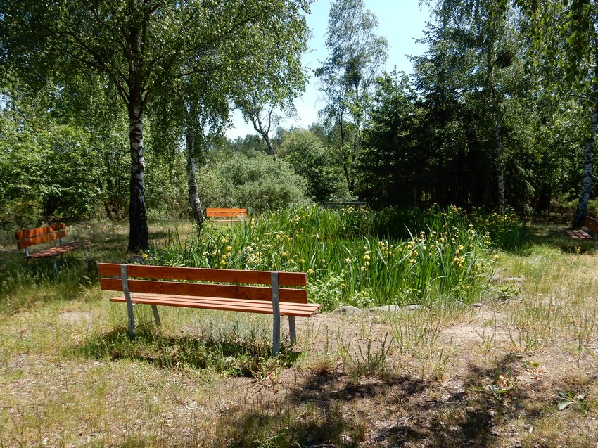 dscn9866.jpg
